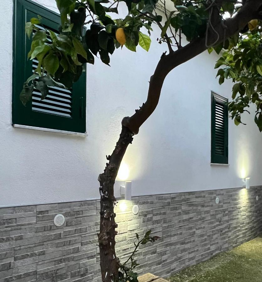 B&B Casa Vacanze Nonna Clara نابولي المظهر الخارجي الصورة